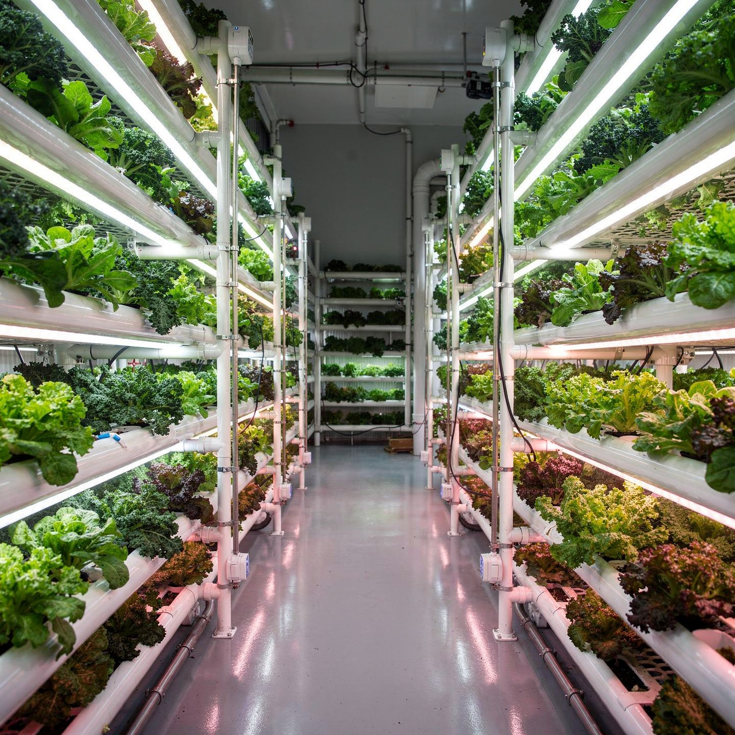 Agriculture Extension Services